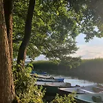 Forest View
